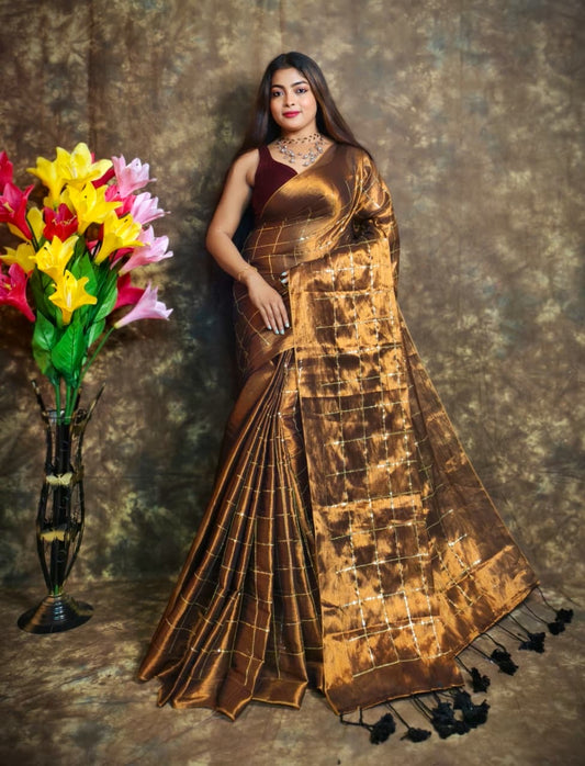 Sequinned Tissue Saree