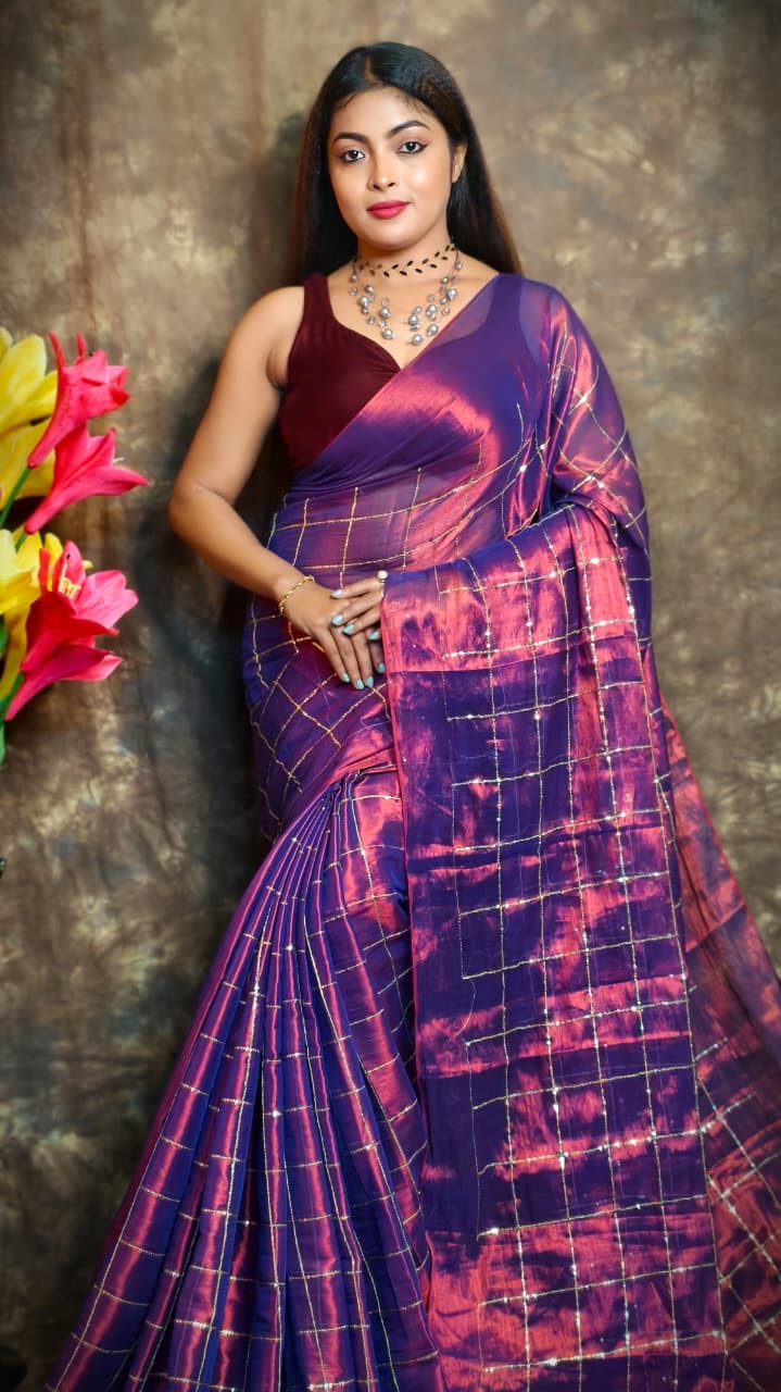 Sequinned Tissue Saree