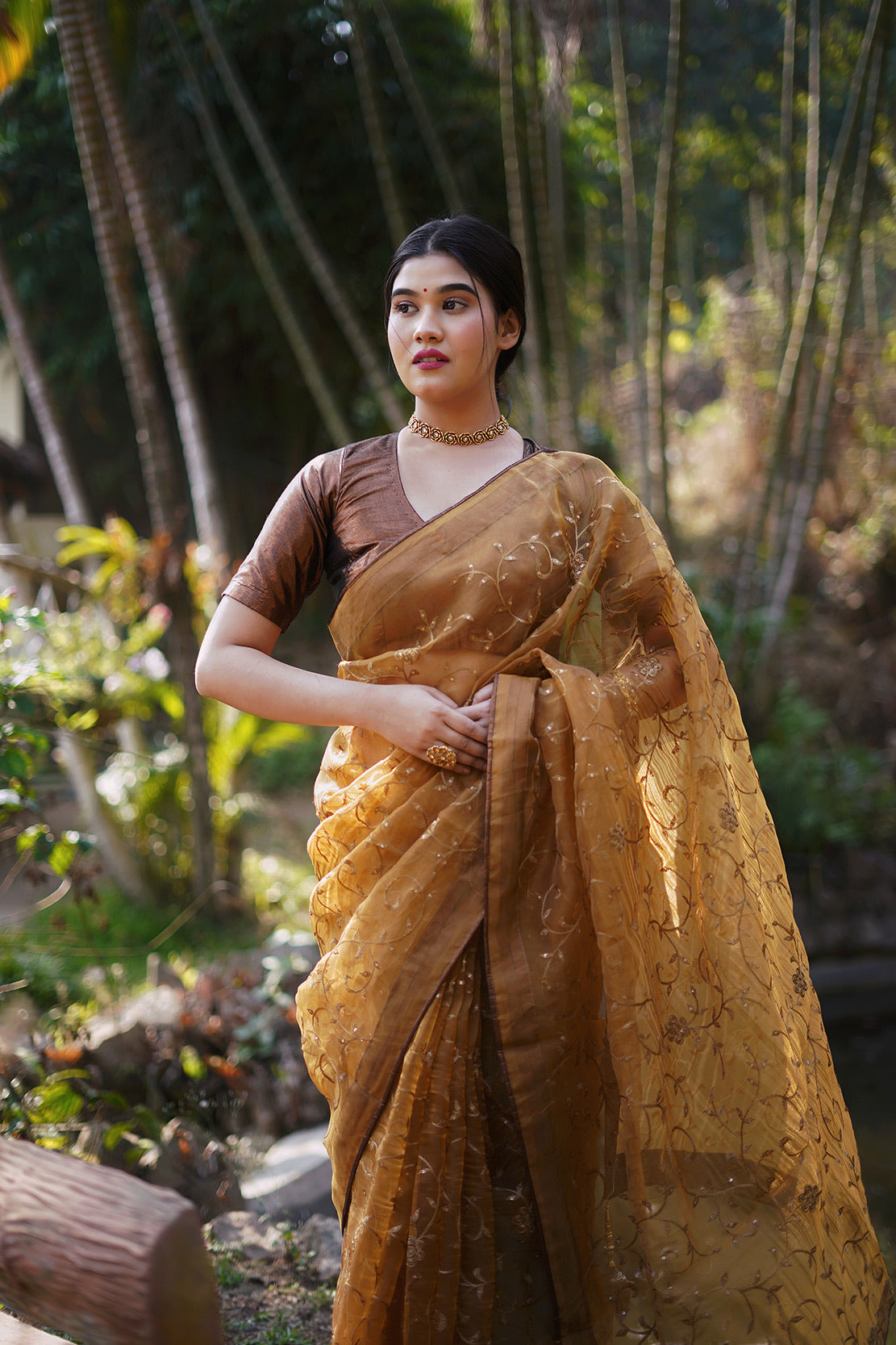 Copper Embellished Saree