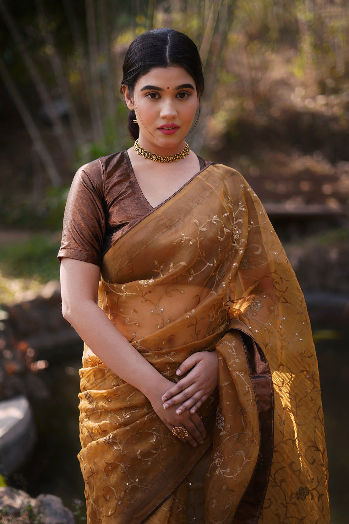Copper Embellished Saree