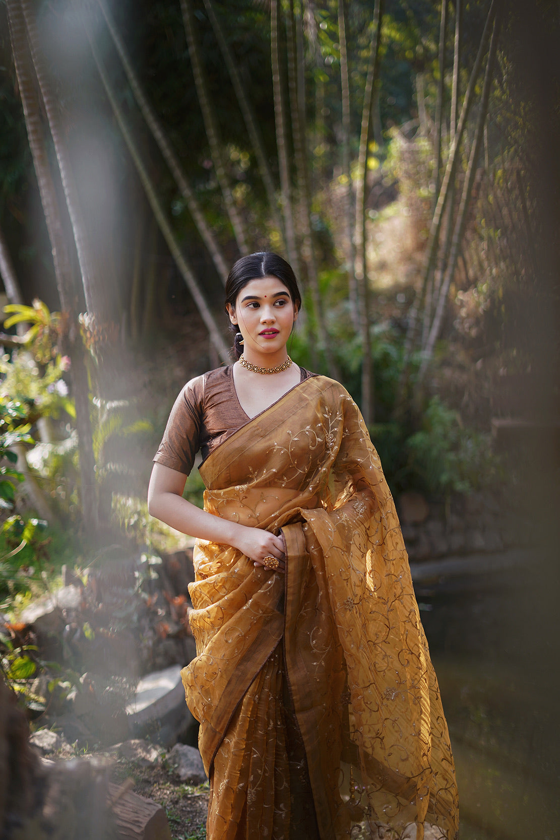 Copper Embellished Saree
