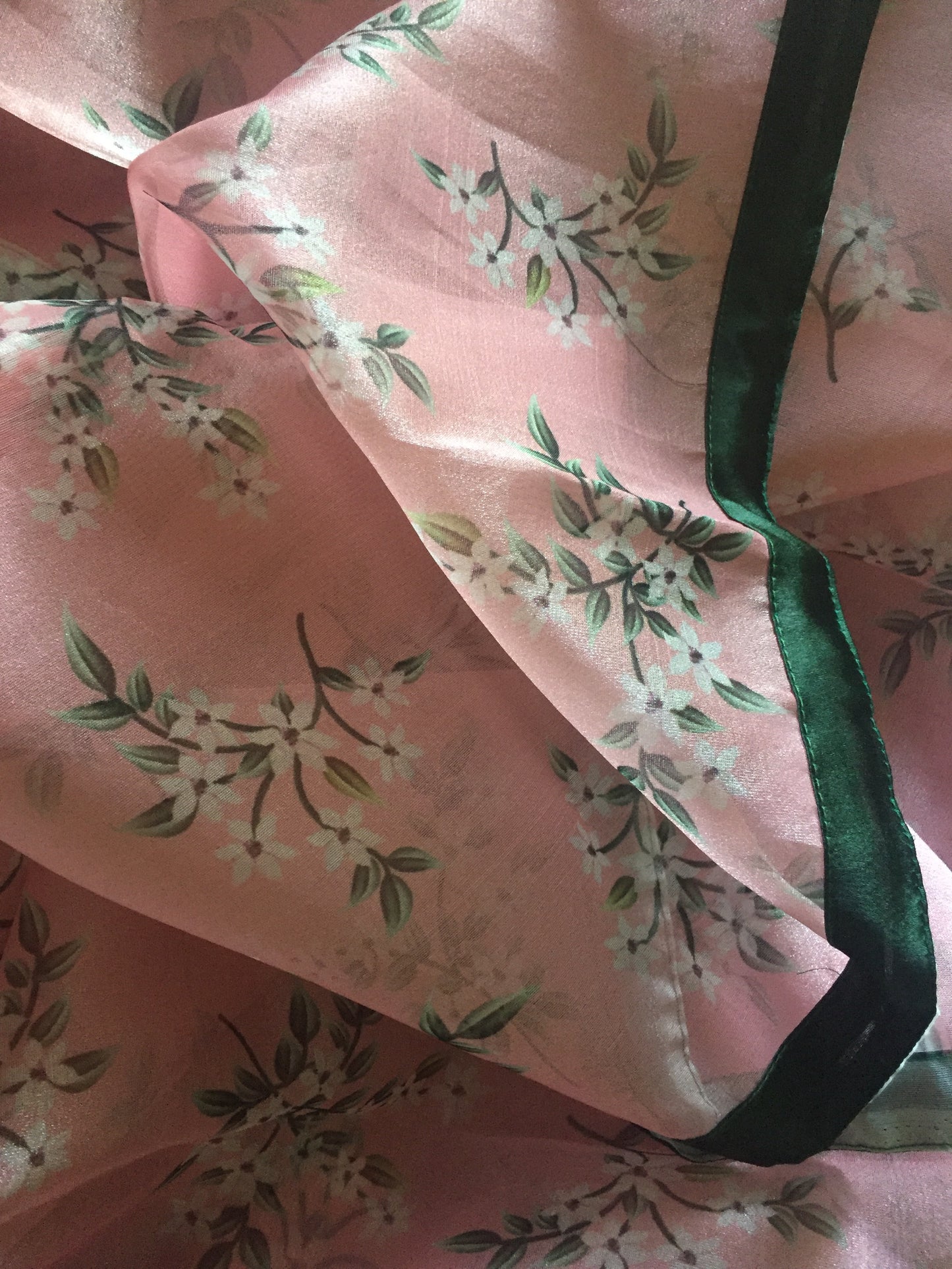 Bagichaa Organza Saree