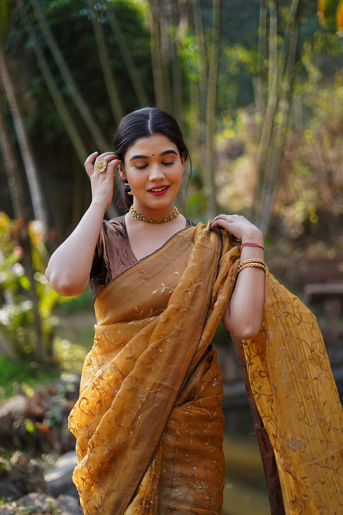 Copper Embellished Saree