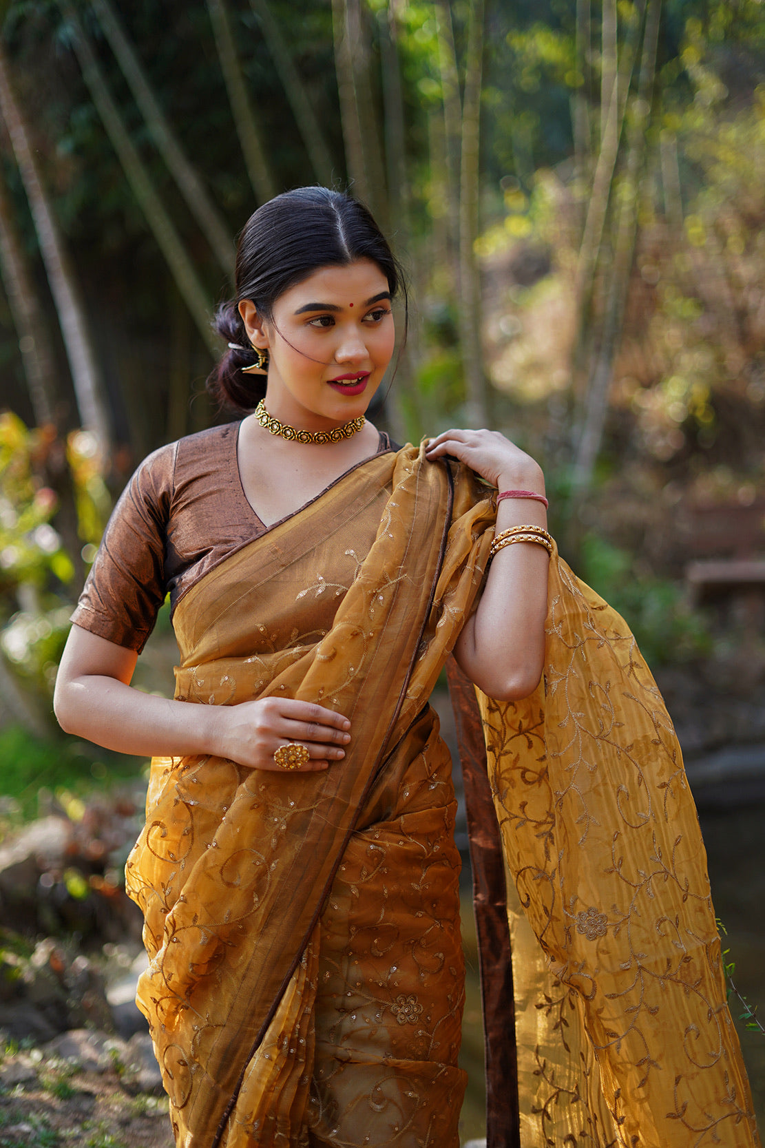 Copper Embellished Saree