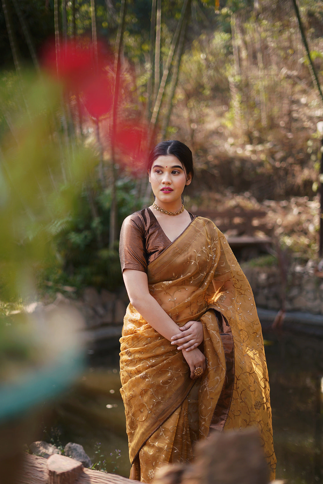 Copper Embellished Saree