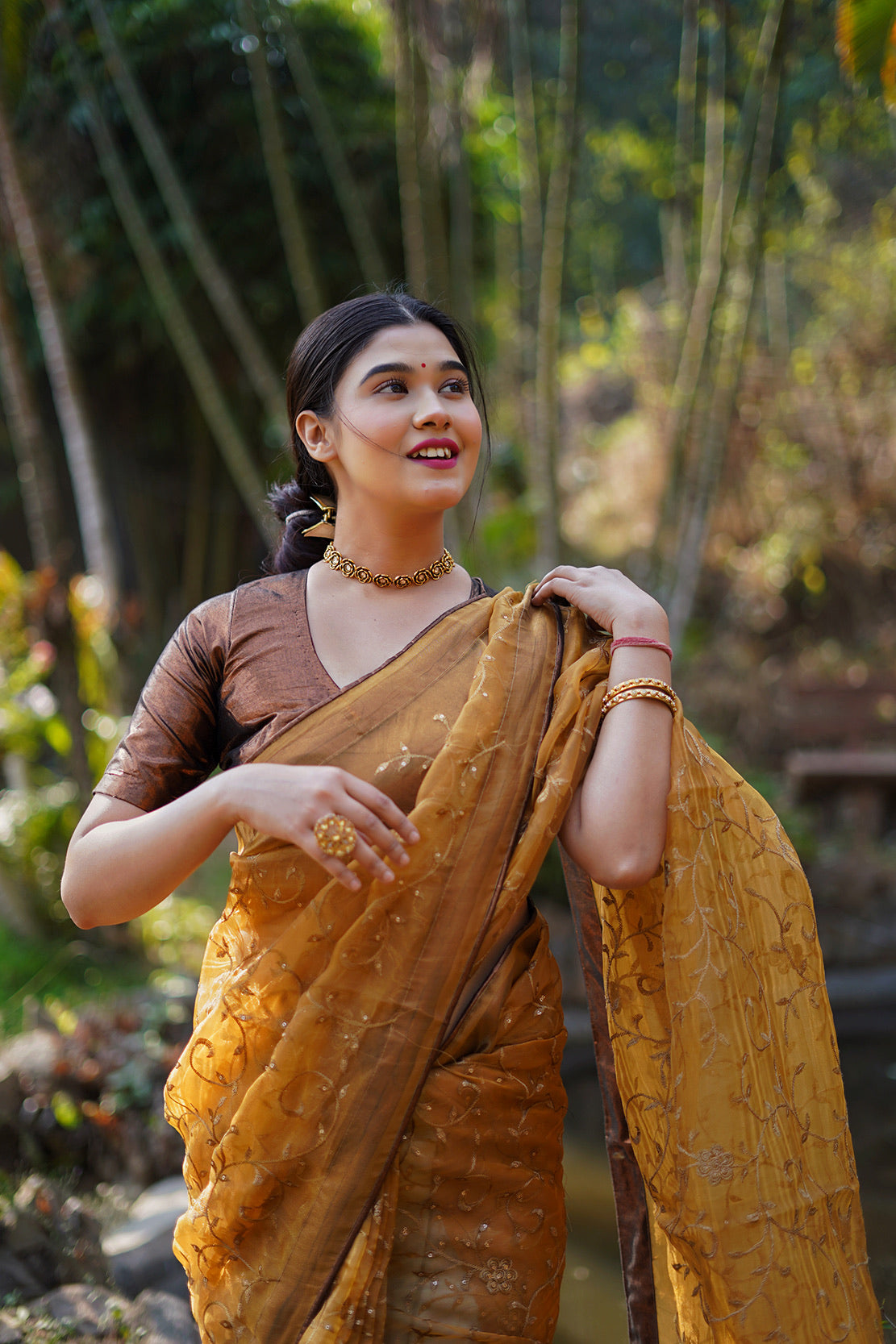 Copper Embellished Saree
