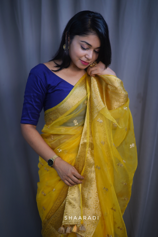 Daisy Organza Saree