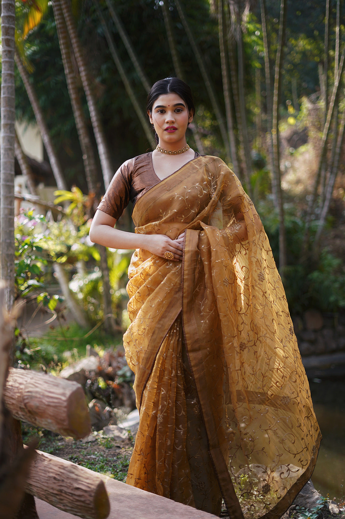 Copper Embellished Saree