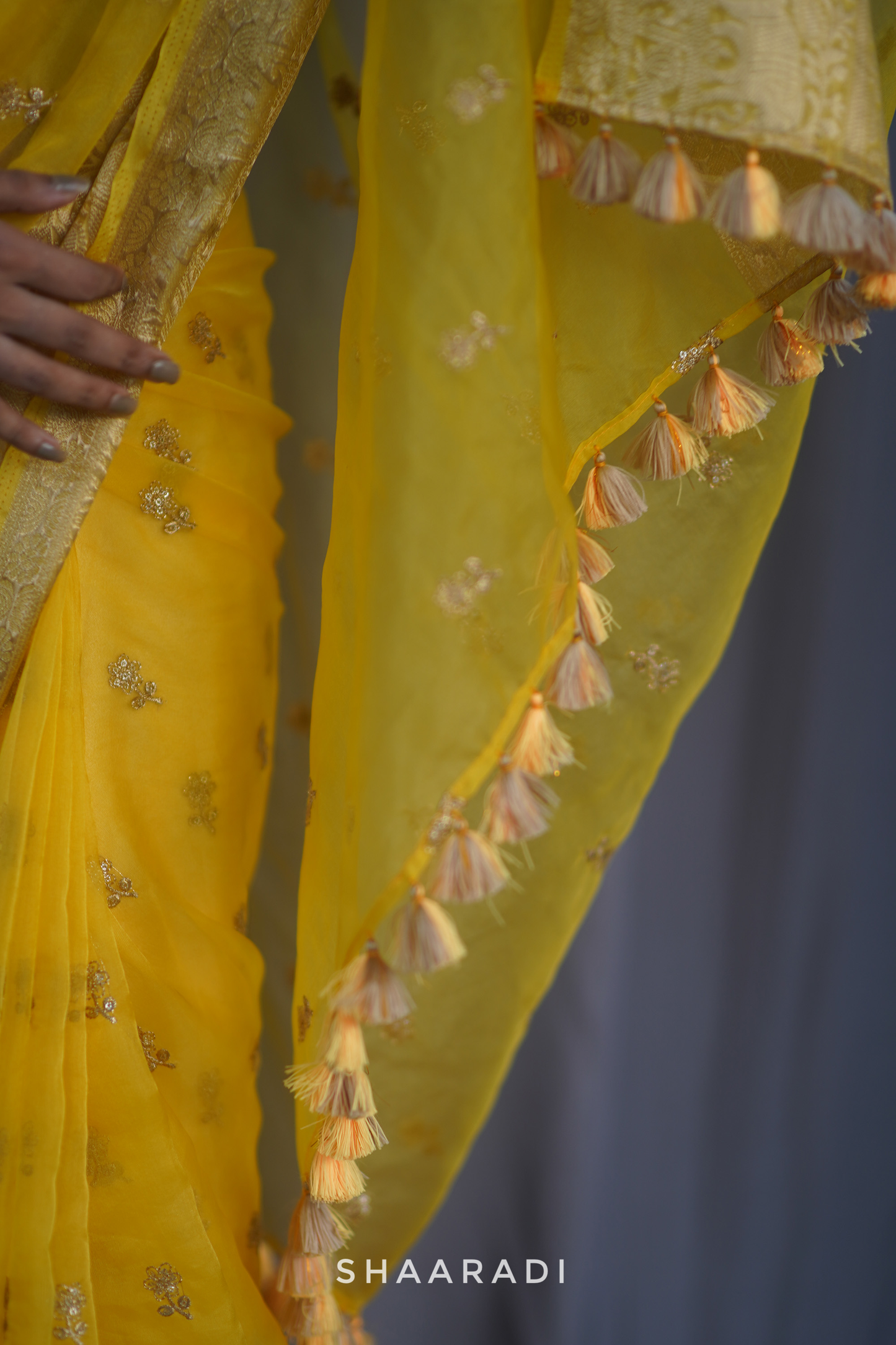 Daisy Organza Saree