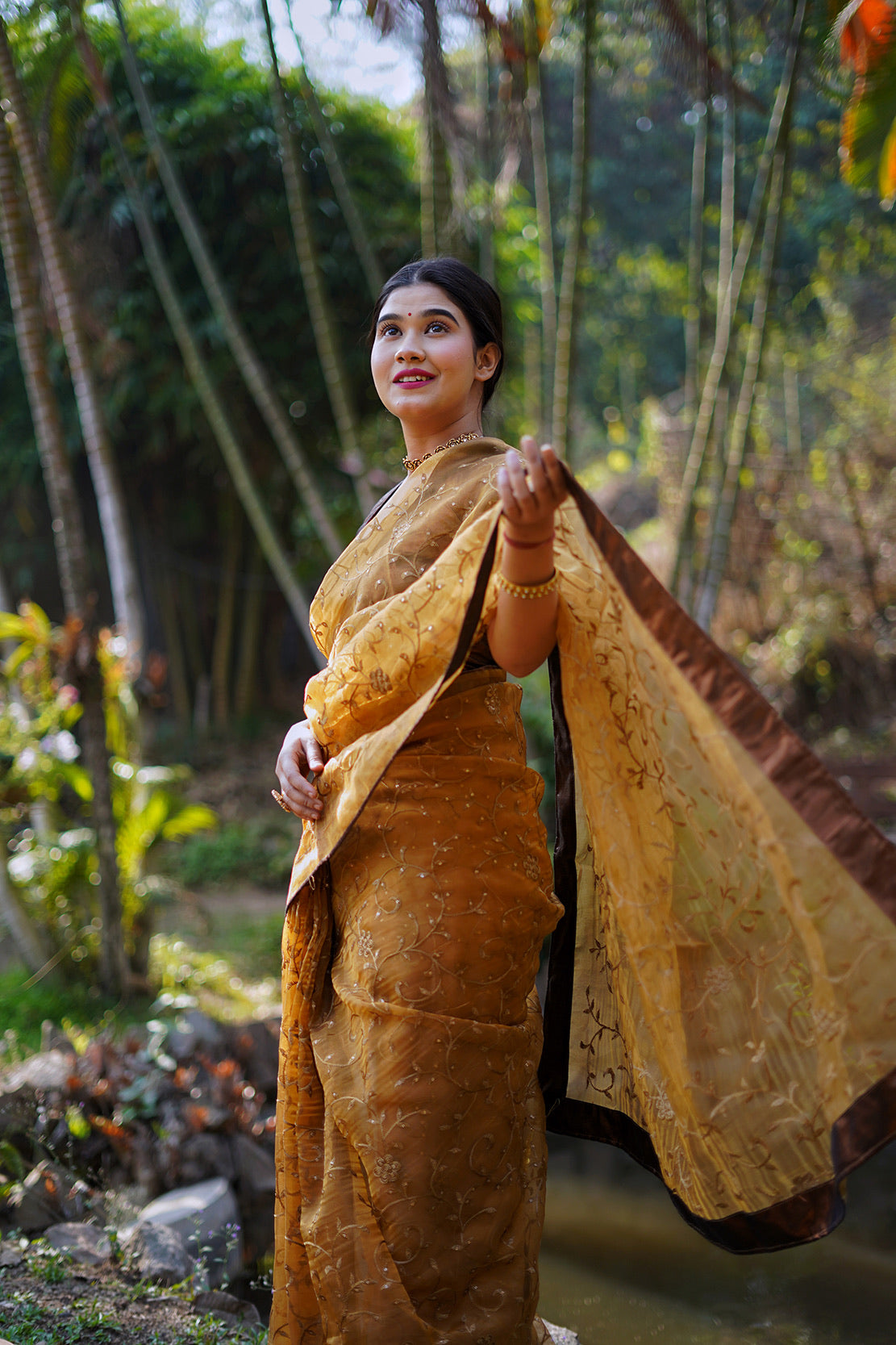Copper Embellished Saree