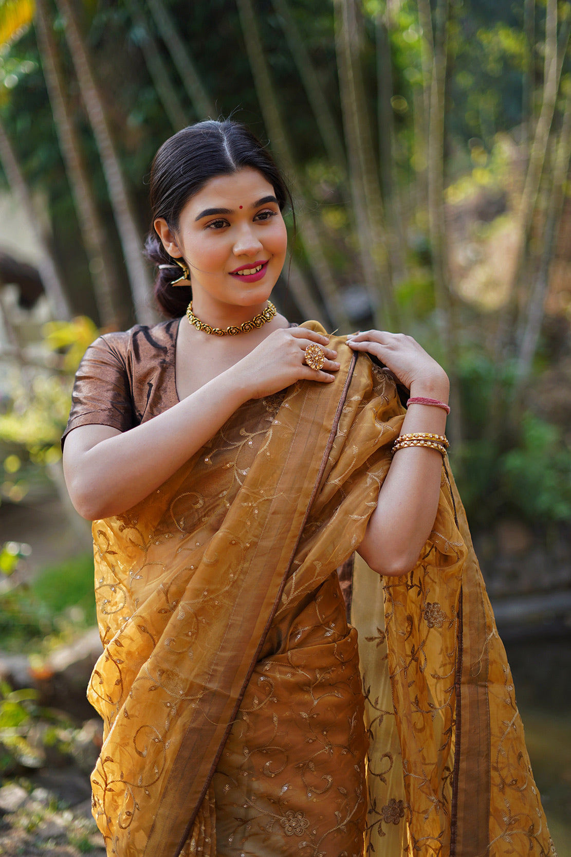 Copper Embellished Saree