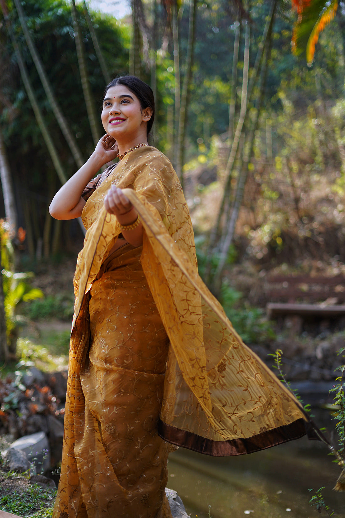 Copper Embellished Saree