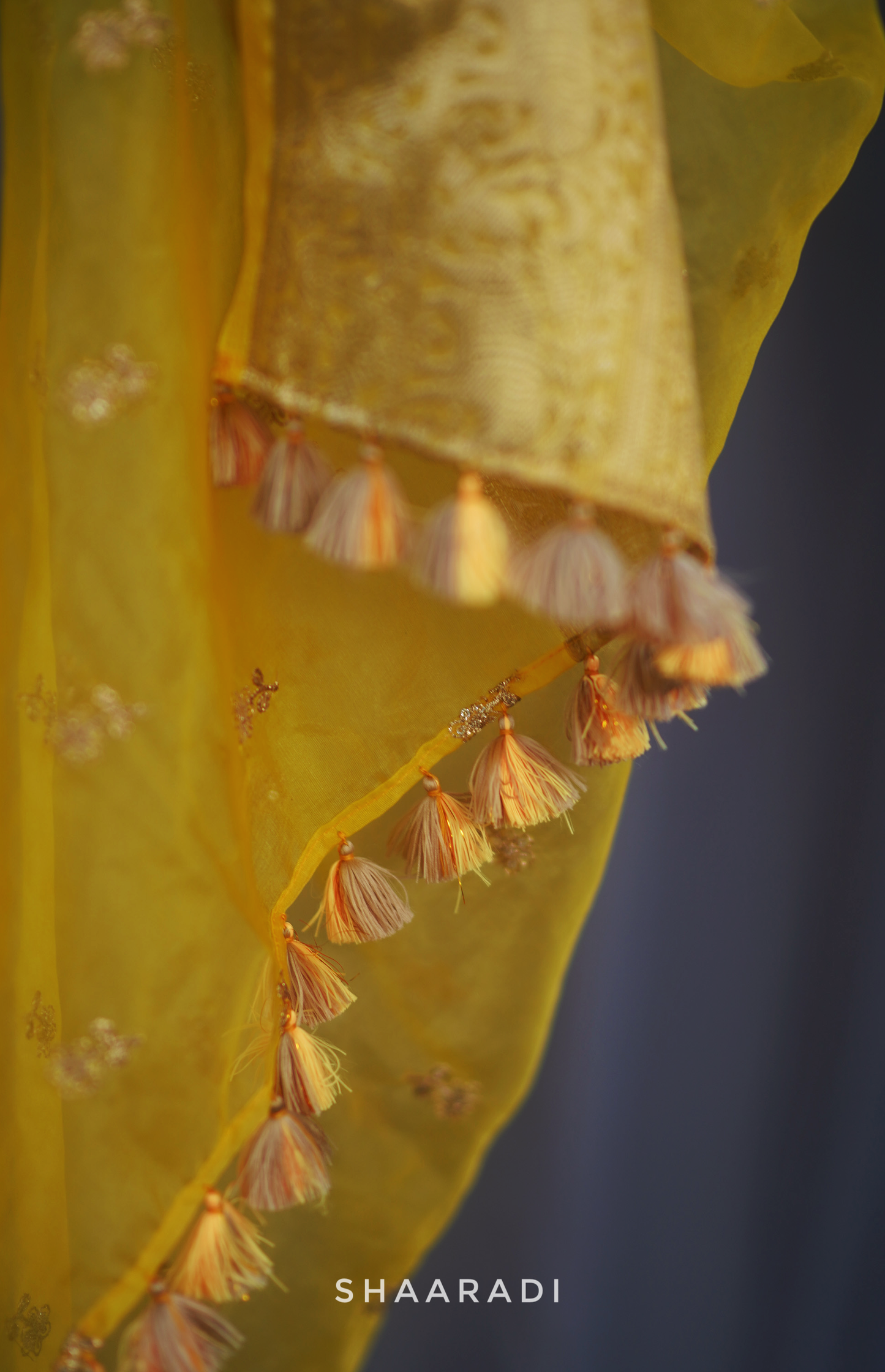 Daisy Organza Saree