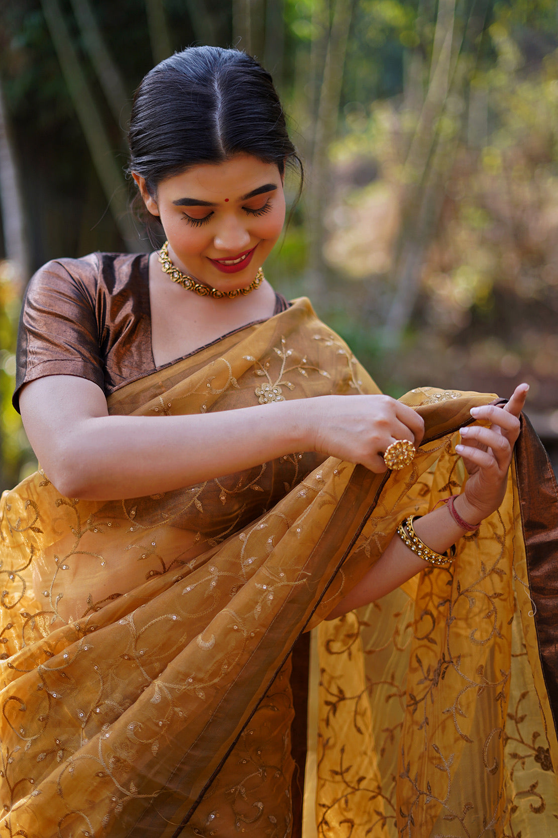 Copper Embellished Saree