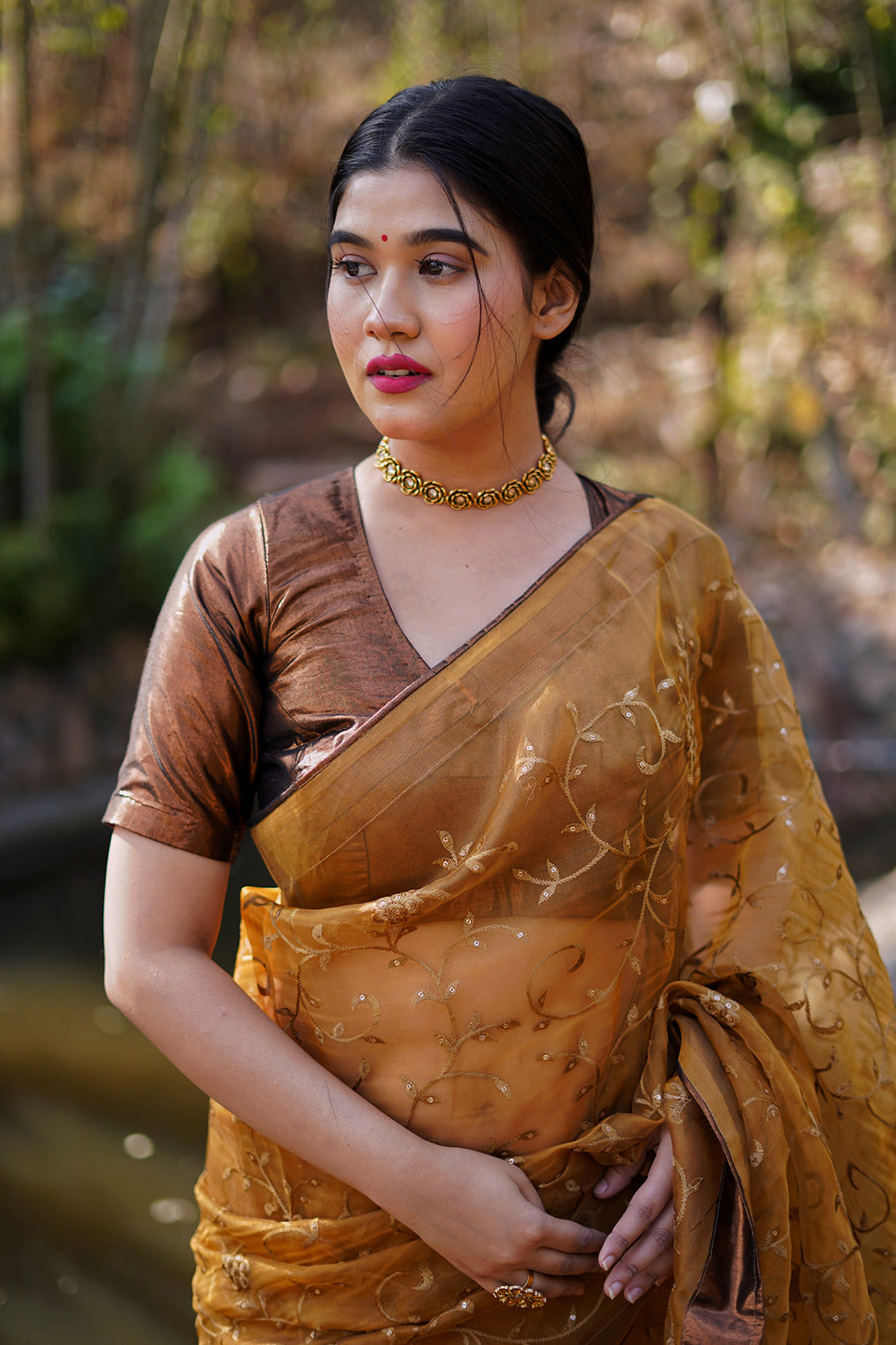 Copper Embellished Saree