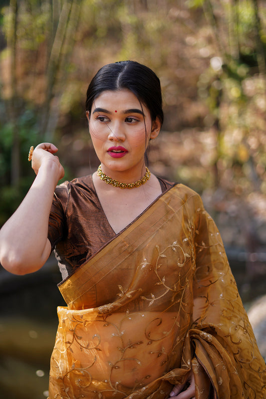 Copper Embellished Saree