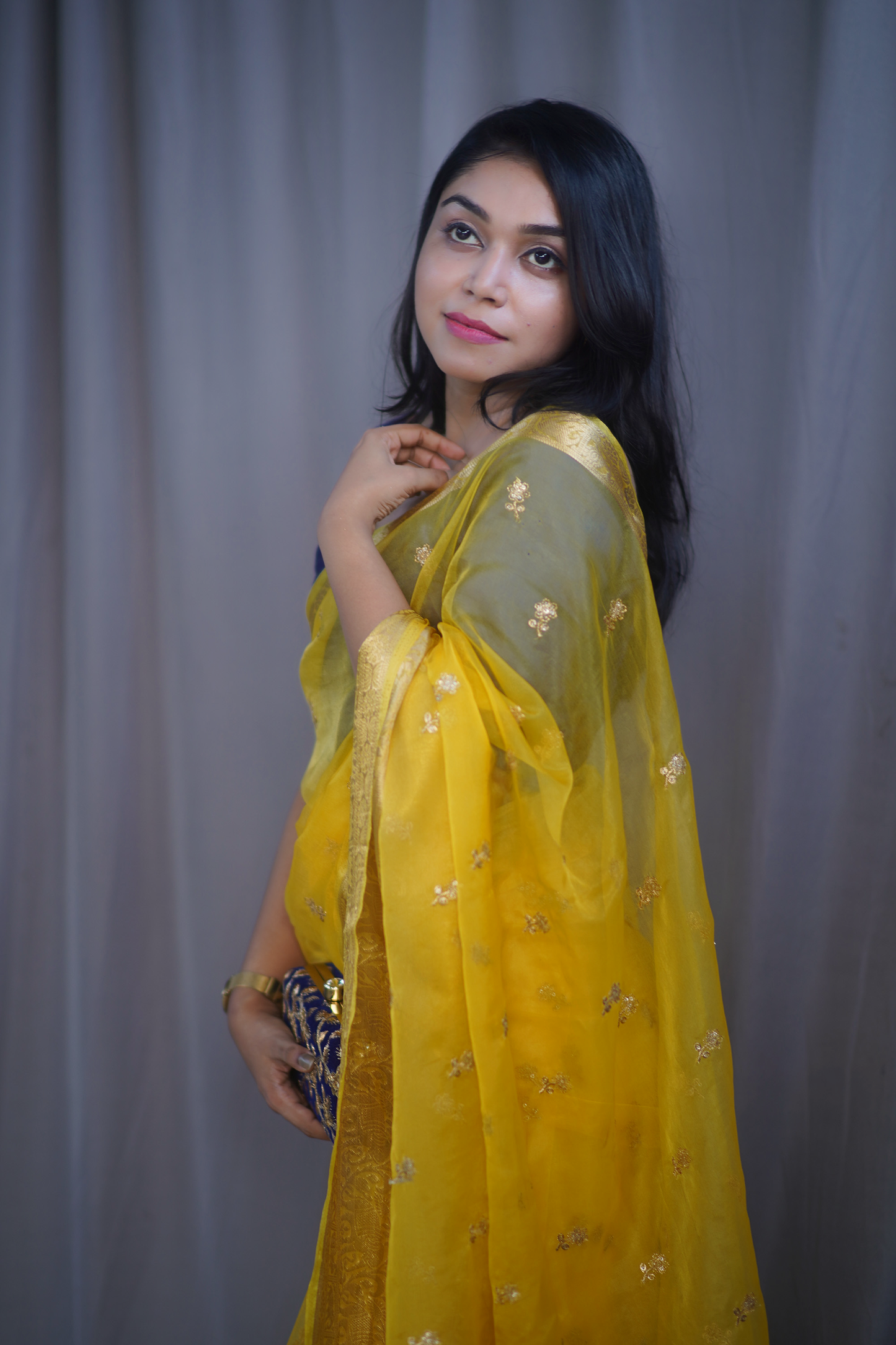 Daisy Organza Saree