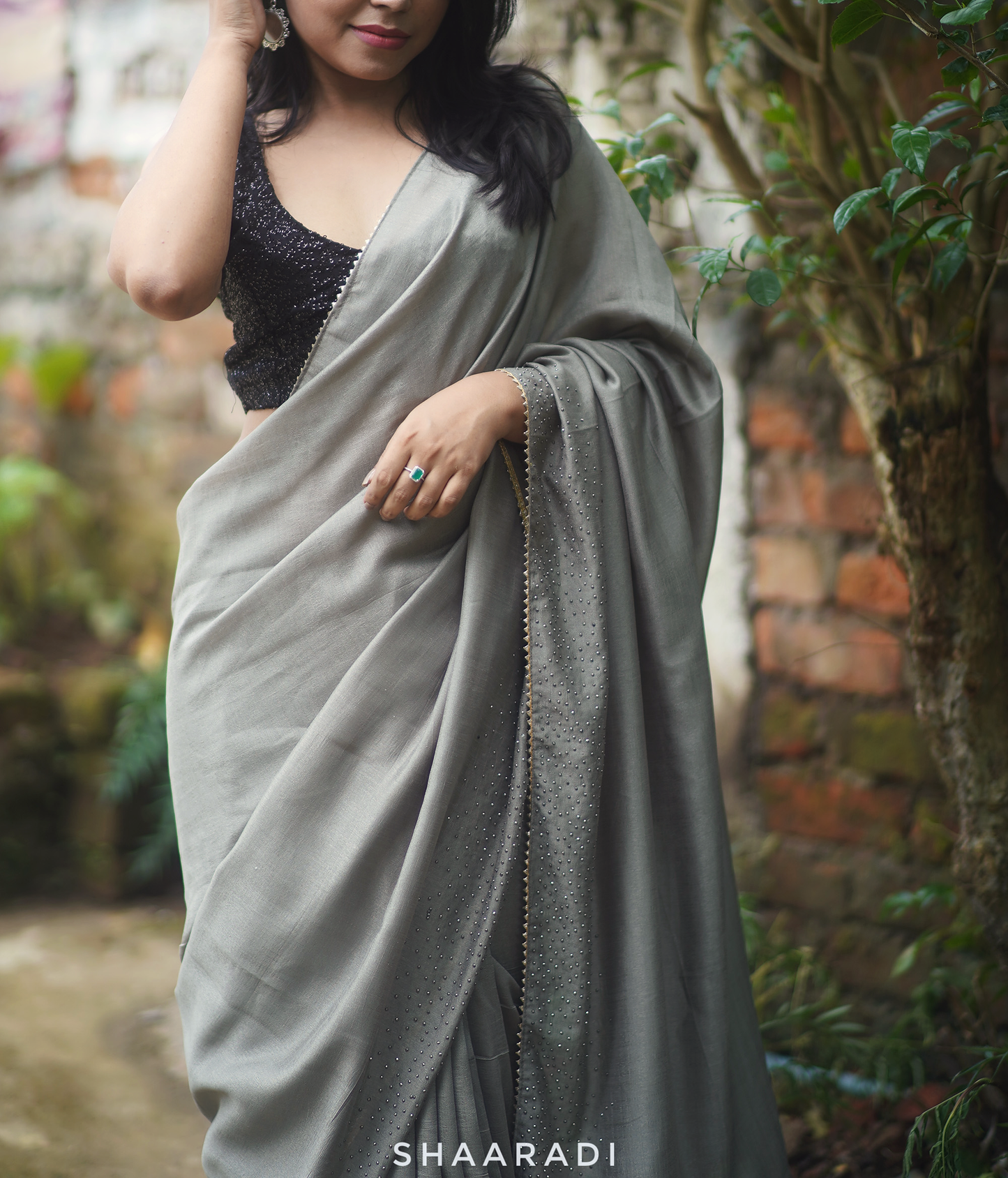 Stardust on Grey Saree