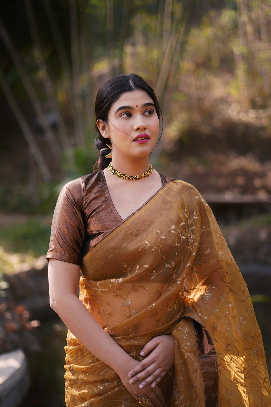Copper Embellished Saree
