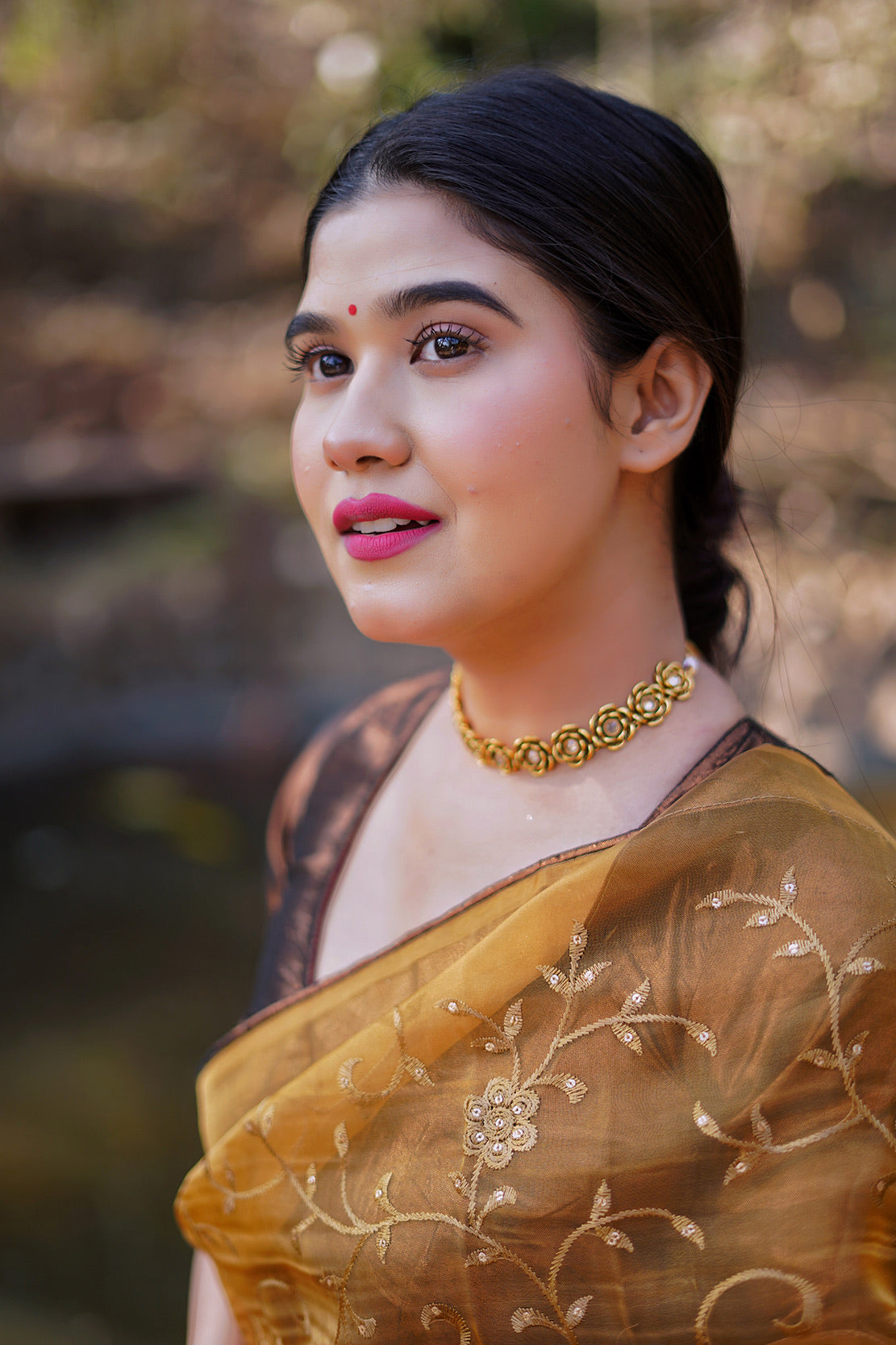 Copper Embellished Saree