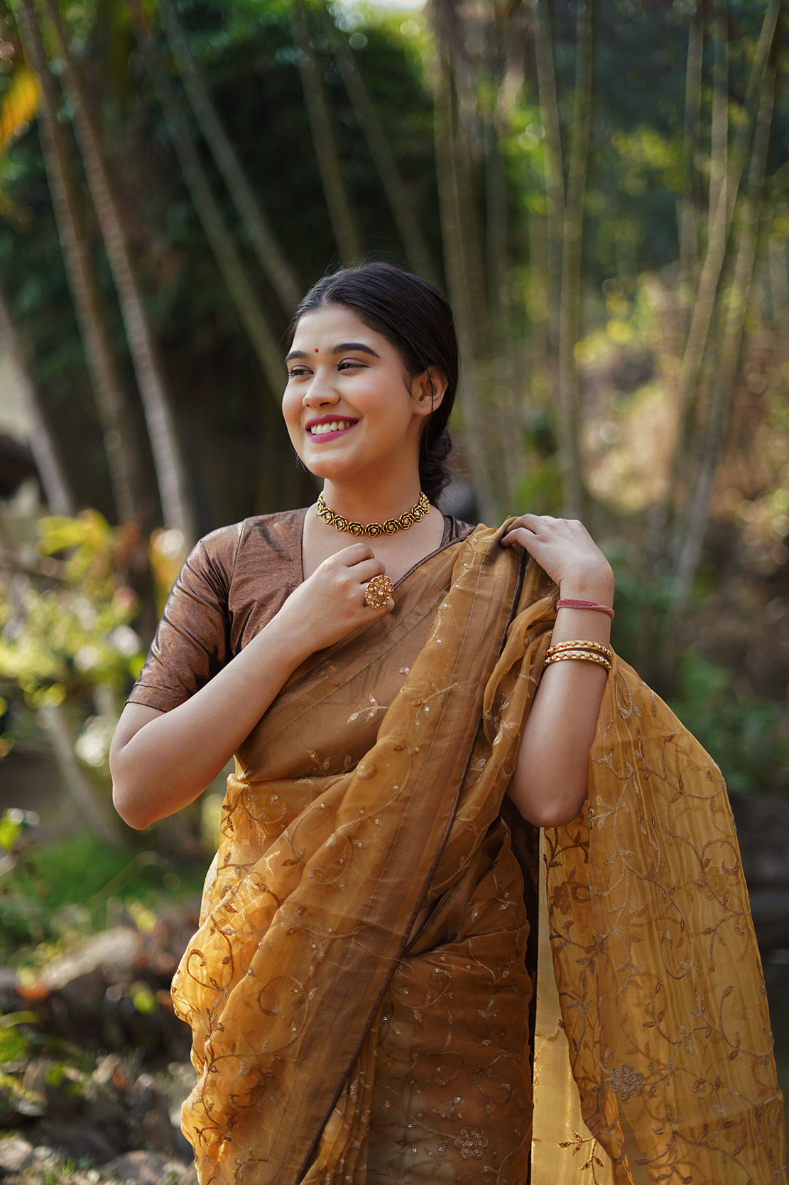 Copper Embellished Saree