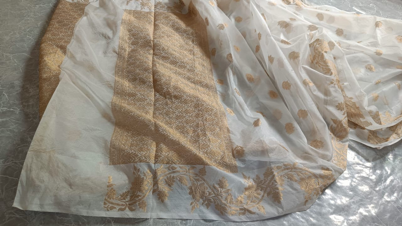 Banarasi hazaar booti Saree