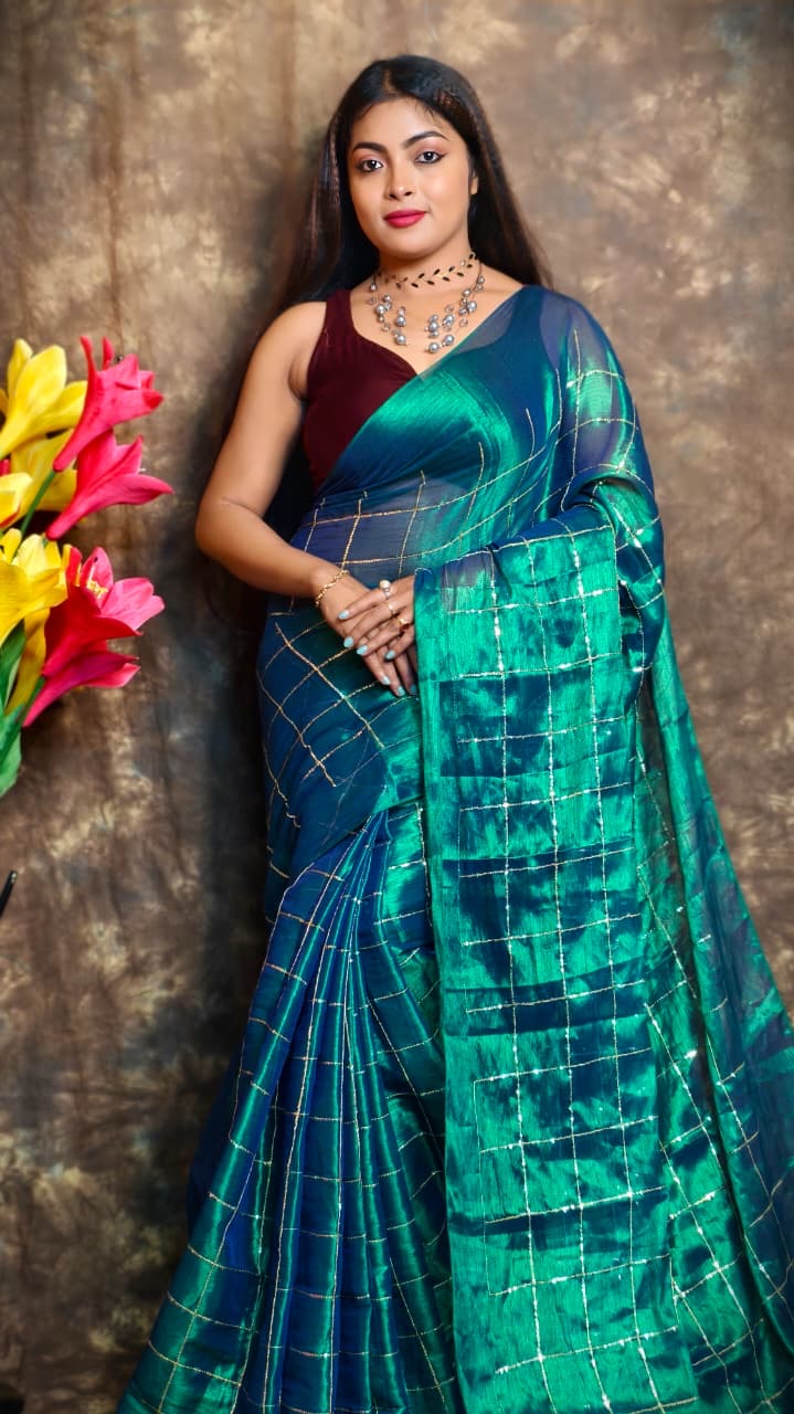 Sequinned Tissue Saree