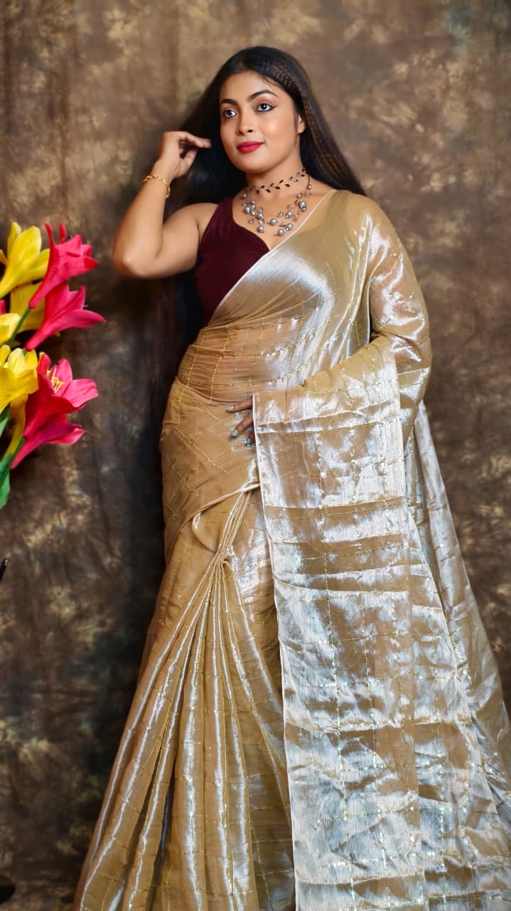 Sequinned Tissue Saree