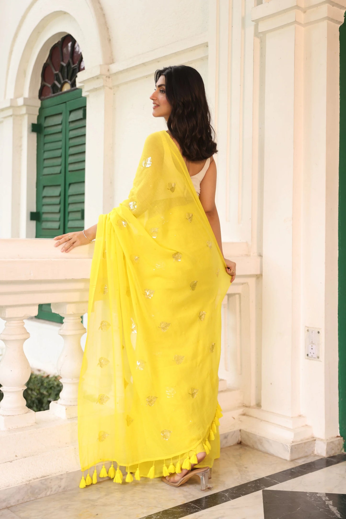 Kirti sequinned Mul Saree