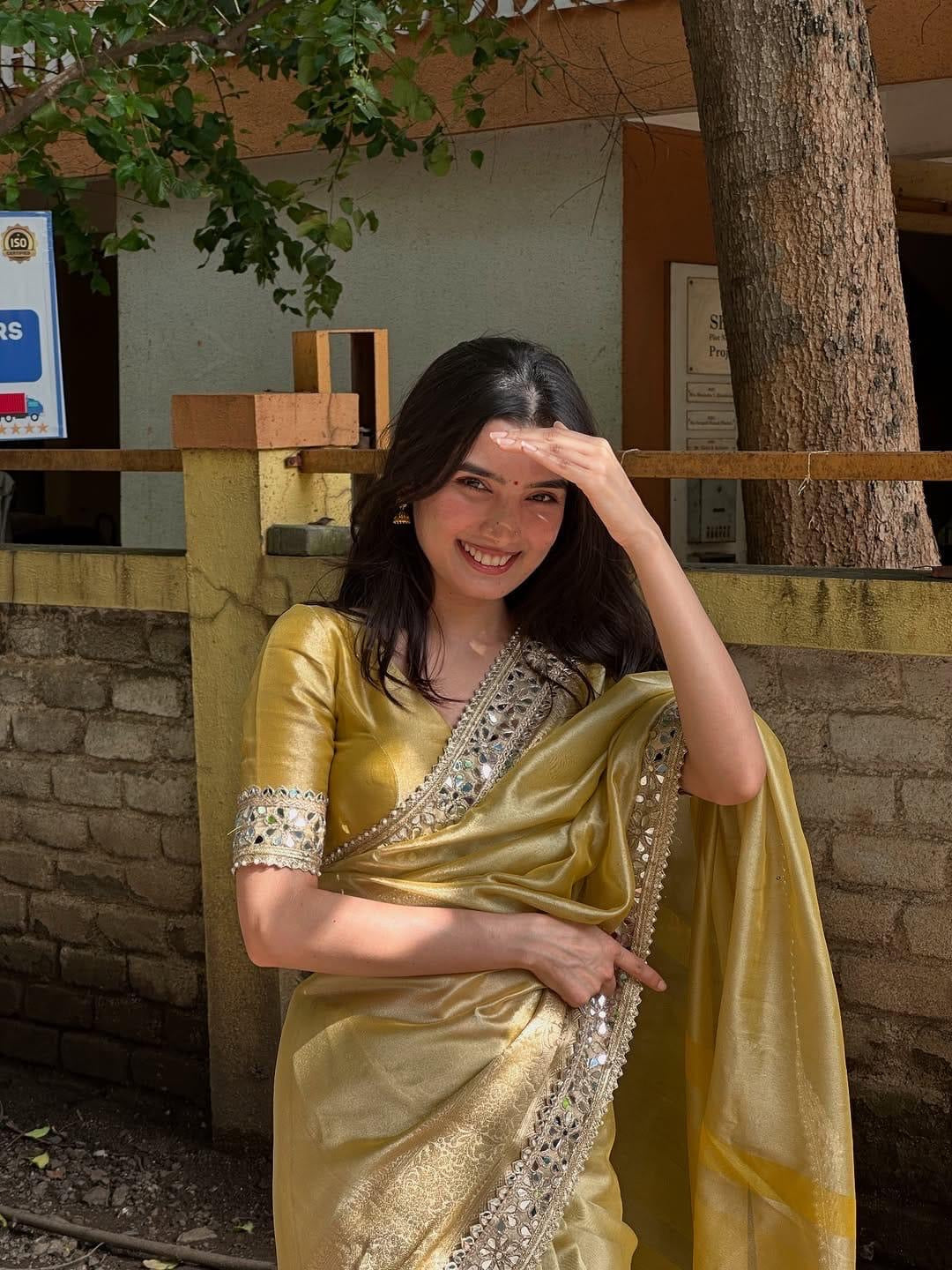 Satya Tissue Silk Saree