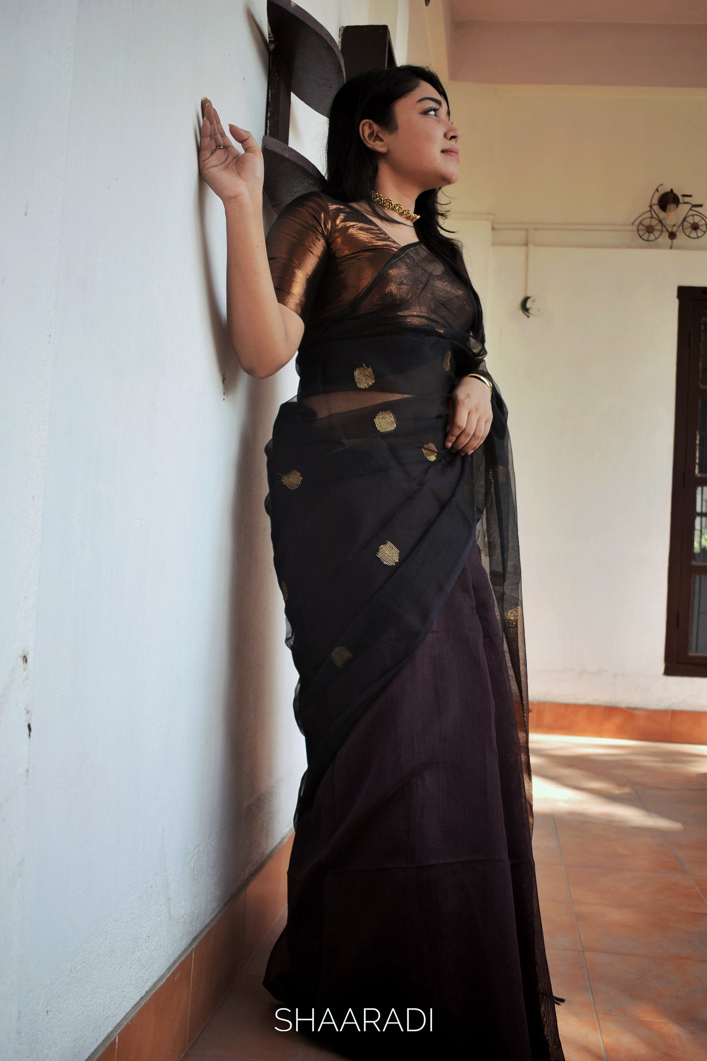 The Black & Bronze Saree