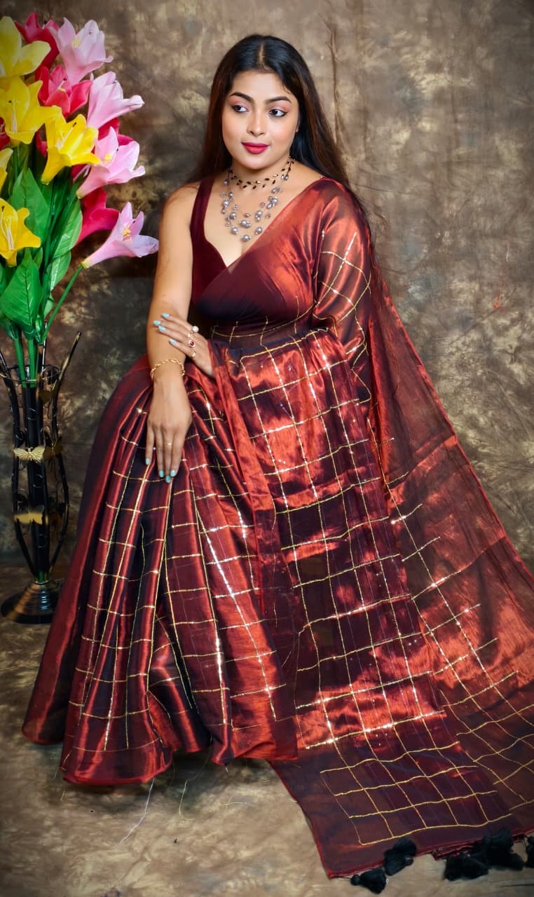 Sequinned Tissue Saree