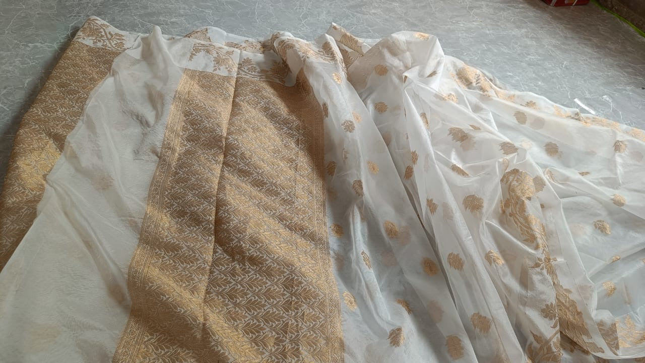 Banarasi hazaar booti Saree