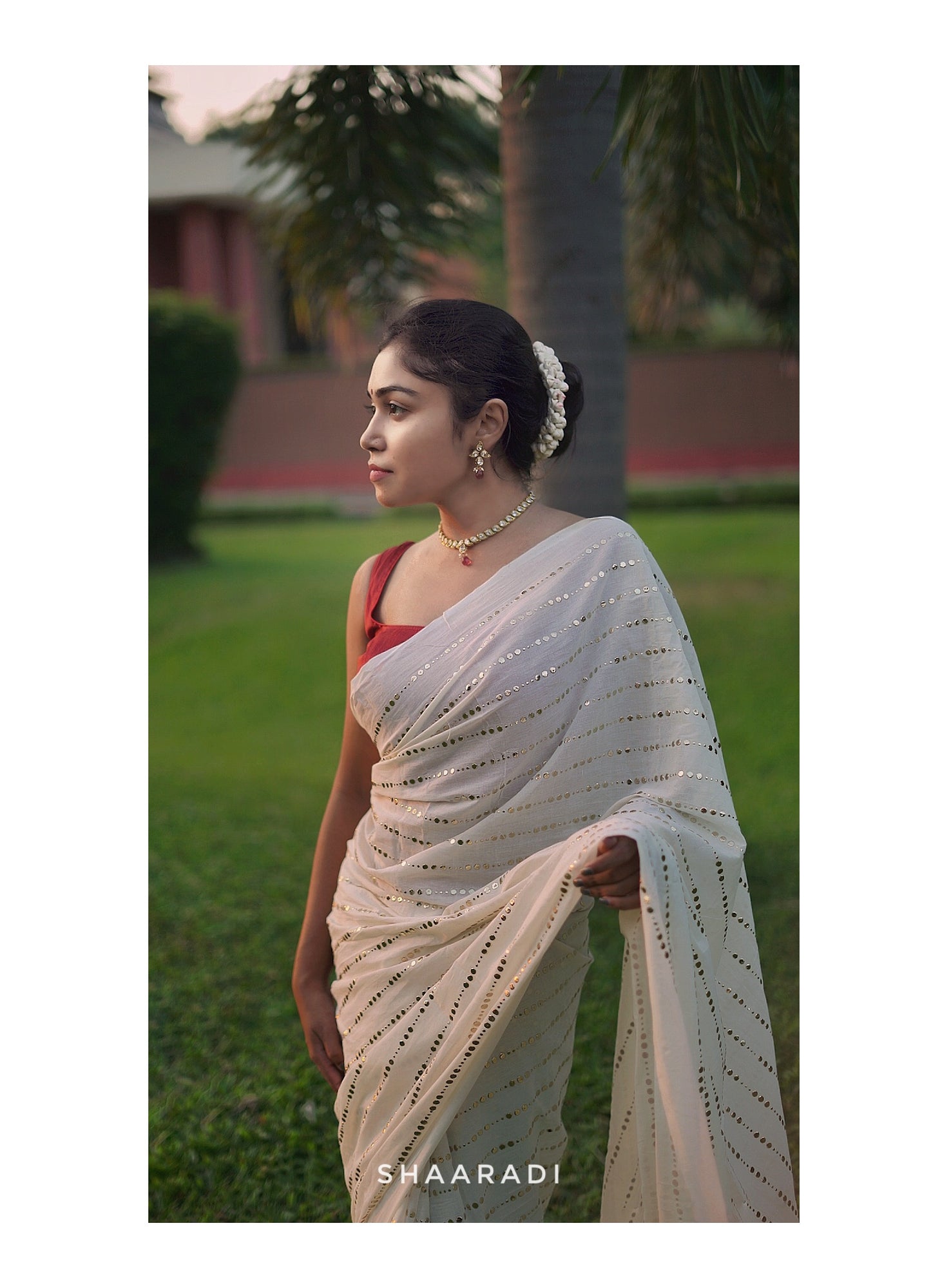 Golden Dreams Saree