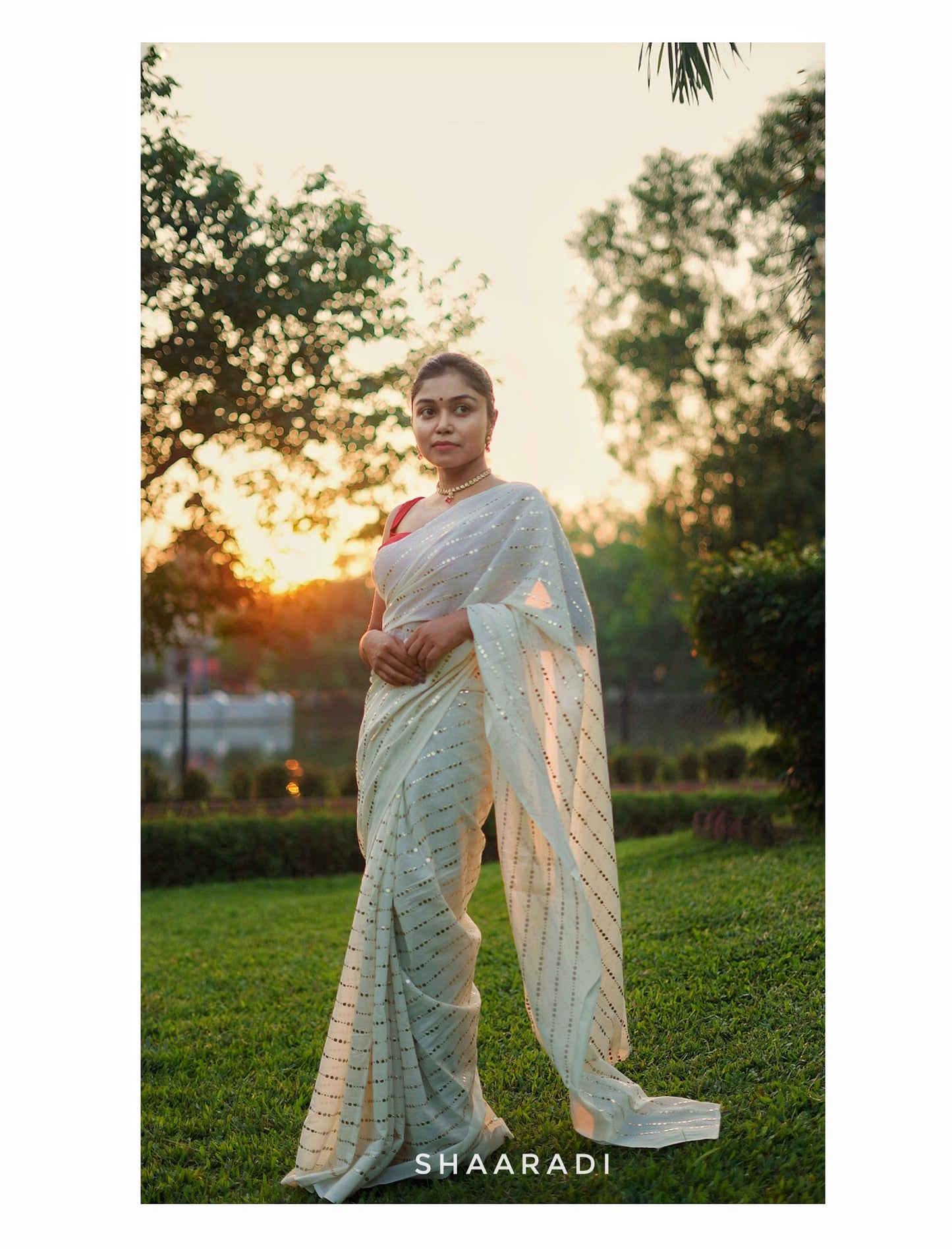 Golden Dreams Saree